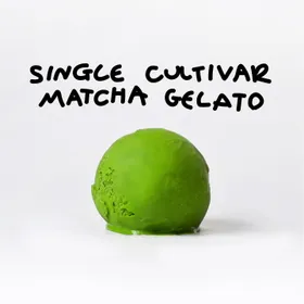 A scoop of single-cultivar matcha gelato